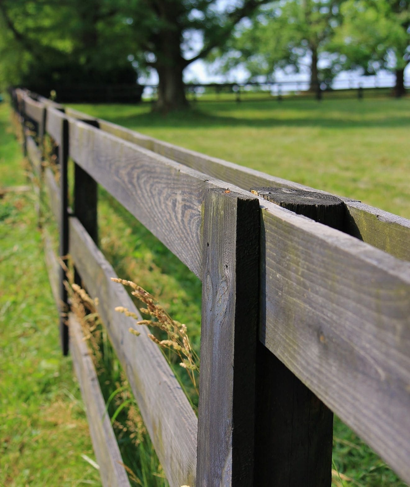 Maryland Fence Laws & Adverse Possession Attorney - LVG Law Firm